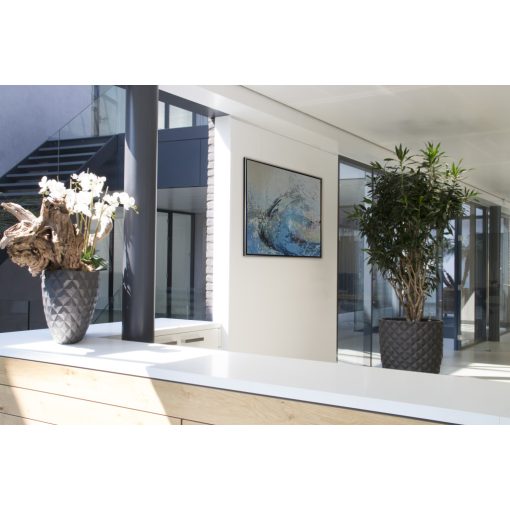 03_CLIP PRO SÍN EGYSÉGCSOMAG