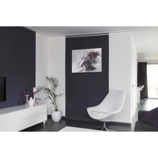 Clip sín képfüggesztő rendszerhez - ezüst 200 cm